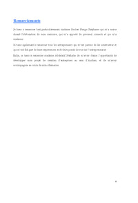 La psychologie de l'entrepreneur