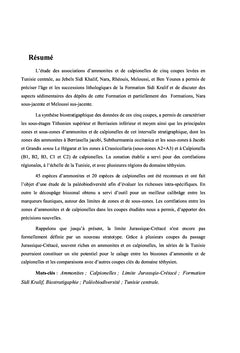 Stratigraphie et Paléobiodiversité des faunes d'Ammonites...