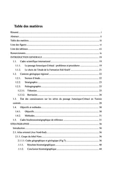 Stratigraphie et Paléobiodiversité des faunes d'Ammonites...