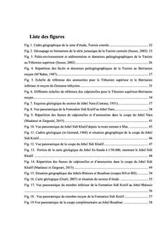 Stratigraphie et Paléobiodiversité des faunes d'Ammonites...