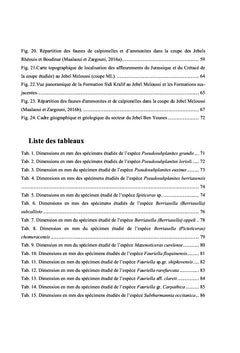 Stratigraphie et Paléobiodiversité des faunes d'Ammonites...