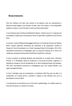 Stratigraphie et Paléobiodiversité des faunes d'Ammonites...