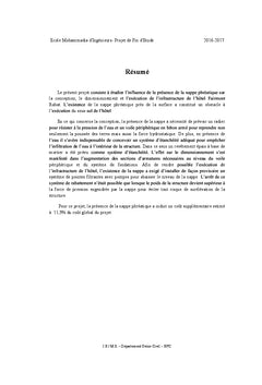 Influence de la presence de la nappe phreatique