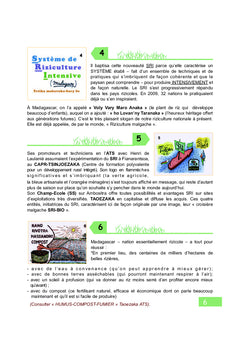 Système de Riziculture Intensive