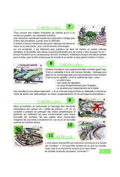 Système de Riziculture Intensive