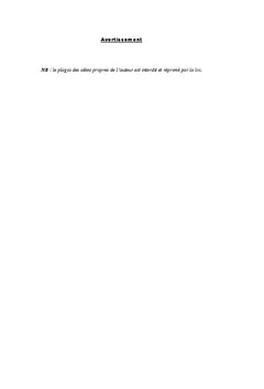 Le monitoring électoral: Un outil d'éthique démocratique