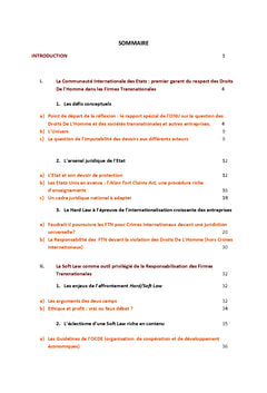 Business International & Droits De L'Homme : l'equation insoluble ?
