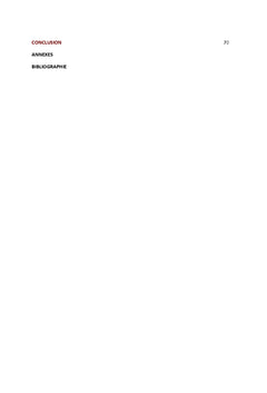 Business International & Droits De L'Homme : l'equation insoluble ?