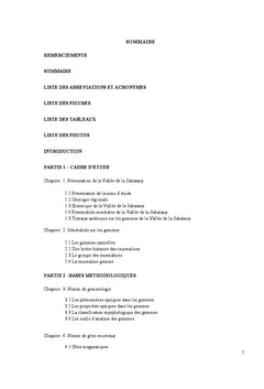 Caracterisation de la tourmaline et des mineraux associes de Sahatany