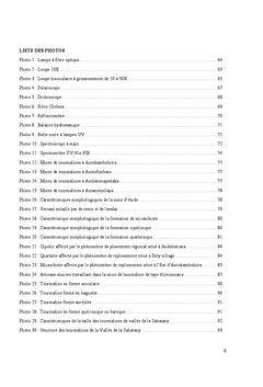 Caracterisation de la tourmaline et des mineraux associes de Sahatany