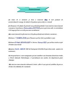 Utilisation de l'ethanol comme carburant et comme substituant au MTBe