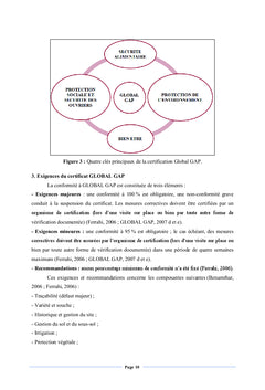 La certification Global G.A.P.