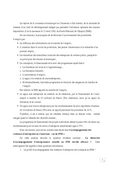 L'accompagnement des createurs d'entreprise au Cameroun, cas du FNe