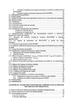 Étude et Conception des Circuits en Nanotechnologies: CNT,FET,Antennes