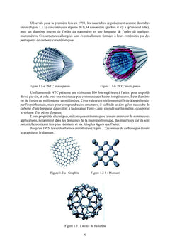 Étude et Conception des Circuits en Nanotechnologies: CNT,FET,Antennes
