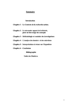 Dispositif du Revenu Minimum d'Insertion