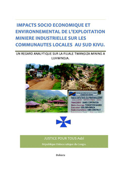 Evaluation des impacts de Twangiza Mining