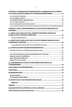 Evaluation des impacts de Twangiza Mining