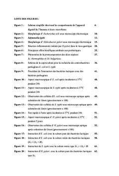 Effet des bactéries lactiques dans la physiopathologie digestive