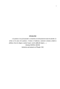 Pratiques artistiques et télévision au Cameroun à l'ère du numérique