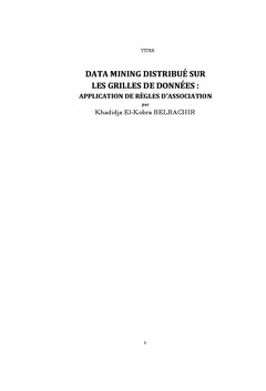 Data Mining Distribué sur les grilles