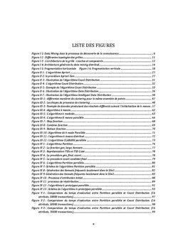 Data Mining Distribué sur les grilles