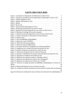 Etude floristique des adventices et effets de Rottboellia cochinchinen