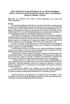 Les gisements de fer au NE Algérien en contexte géologique différent