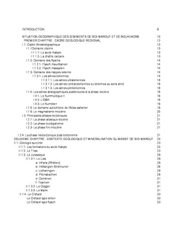 Les gisements de fer au NE Algérien en contexte géologique différent