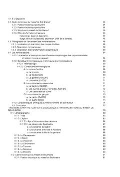 Les gisements de fer au NE Algérien en contexte géologique différent