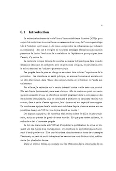 Plusieurs controles appliques A un modele de transmission du SIDA