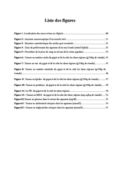 Qualité nutritionnelle de la viande d'agneau en Algérie