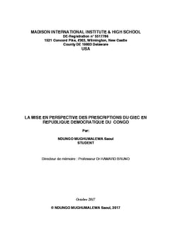 La mise en perspective des prescriptions du GIEC en RD Congo