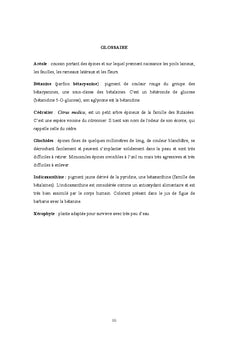 Confiture et sirop élaborés à partir de fruits de raketa d'Analamanga