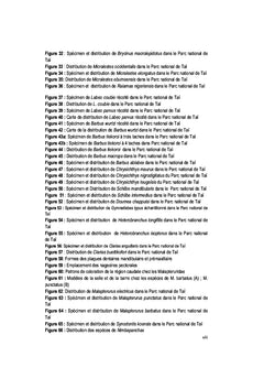 Biodiversité des poissons du Parc National de Taï