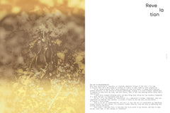 Imprégnation version anglaise