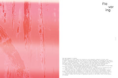 Imprégnation version anglaise