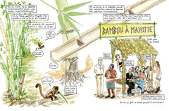 Le béton et le bambou