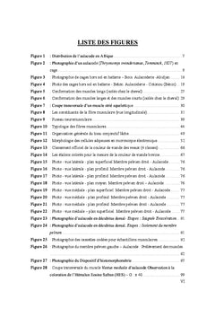 Etude des caractéristiques du Muscle strié squelettique d'Aulacode