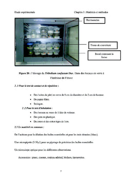 Effets de l'irradiation gamma