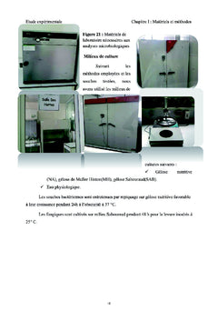 Effets de l'irradiation gamma