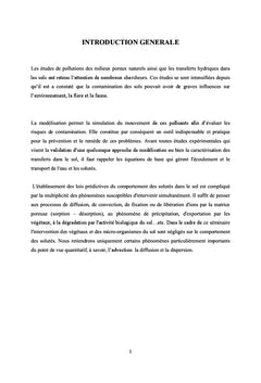 Modélisation de l'écoulement de l'eau et du transport des solutés