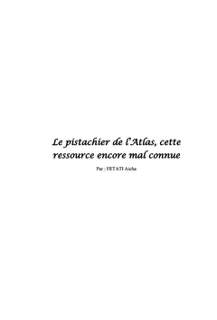 Le pistachier de l'Atlas, cette ressource encore mal connue