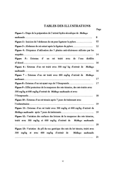 Activité anti-ulcèreuse de Mollugo nudicaulis chez le rat