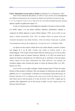 Acacia tortilis en Tunisie: Écophysiologie et morphologie