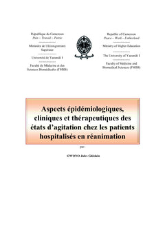 Agitation état délirant en réanimation