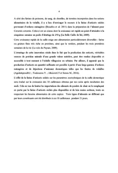 Farine d'asticots bon aliment des cailleteaux en croissance