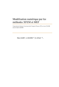 Modélisation numérique par les méthodes XFEM et MEF