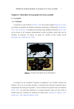 La propolis et le stress oxydatif