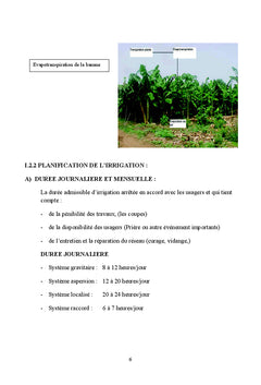 Manuel de Conseils aux Techniques d'Irrigation et de Bonnes Pratiques